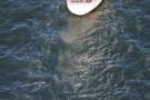 Missing Picture